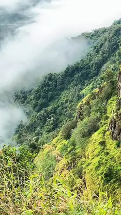 bundok