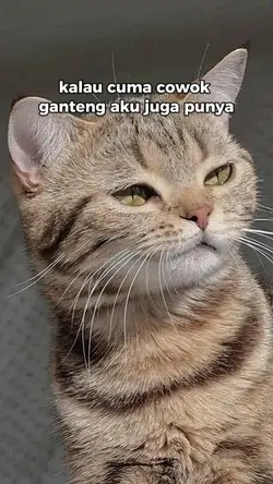 Kalo cm punya cowok