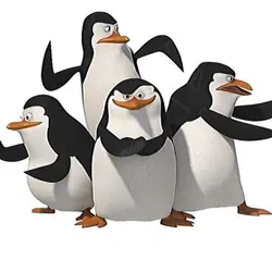 Four ppl vers 