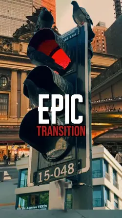 EPIC TRANSITION 
