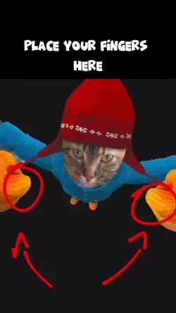 Spin with cat 