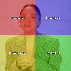 Trend 4 khung màu