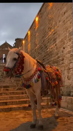 mardin