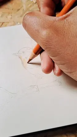 draw with me 