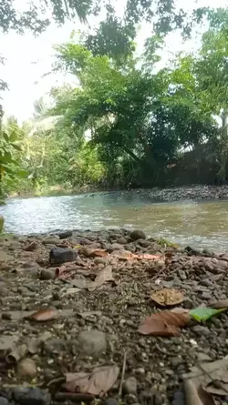 Sebatang Rokok
