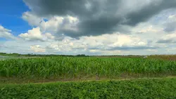 weather demand….