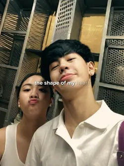 shape of my heart