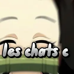 J'AIMEU LES CHAAATS