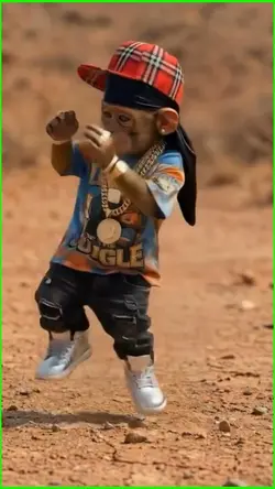 DANCING MONKEY 