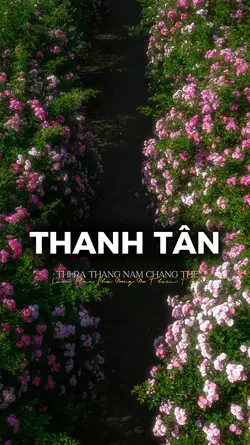 thanh tân