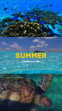Summer underwater 