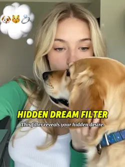 Hidden dream