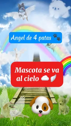 Mascotas al cielo☁️🪽🐾