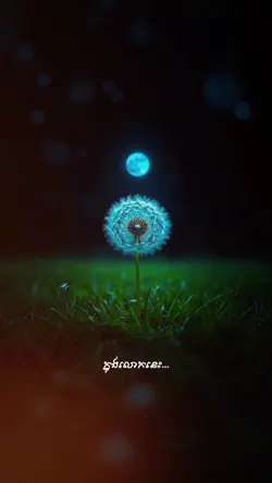 ក្នុងលោកនេះ...