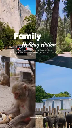 Family Holiday 