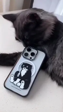 cell phone case