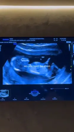 Pregnant Journey 