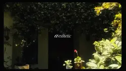 7 video aesthetic