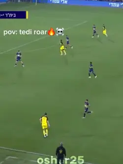 Tedi roar