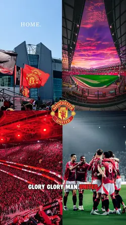 Manchester united