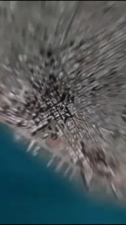 NOVA TREND DA TERRA