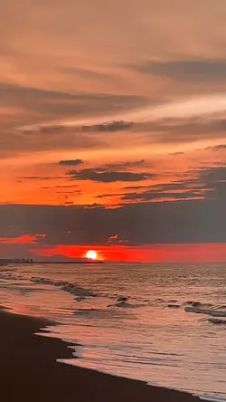 Senja 6 vidio