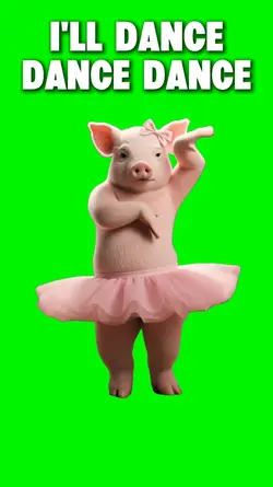 DANCING PIG