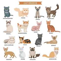 Types of cats