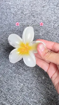 Hairclip