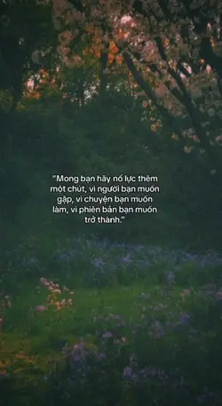 Mong bạn…..