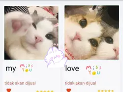 คนโปรดดด