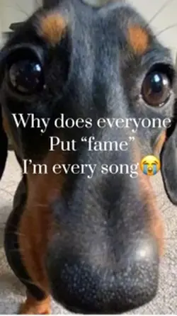 Fame