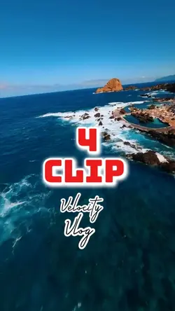 4 video or picture 