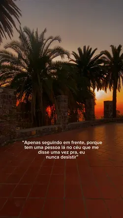 Seguindo ✨