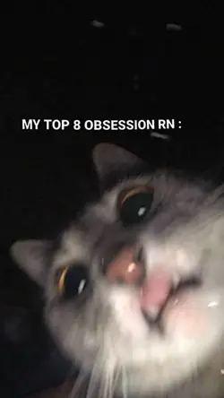 8 obsession rn