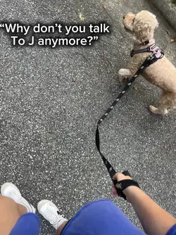 …