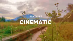 Nature Cinematic 