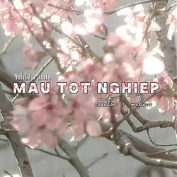 [22] mẫu tốt nghiệp 