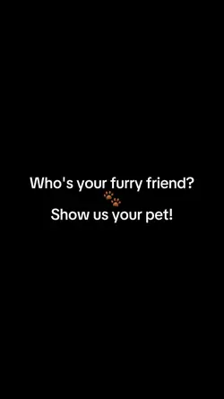 show your pet!