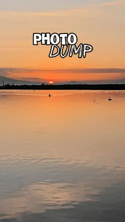 Photo Dump