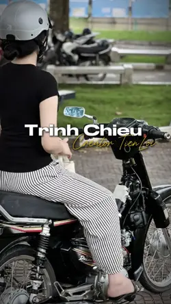 Trình chiếu 
