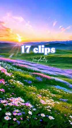 17 video or photo 