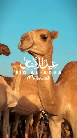 Eid Al Adha Mubarak