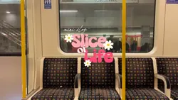 Slice of life