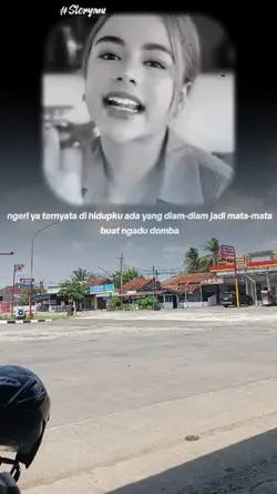 teman adu domba