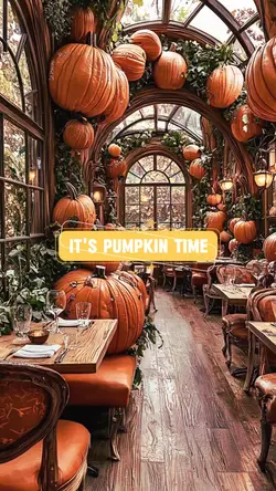 Pumpkin time