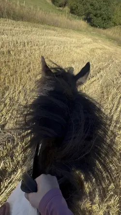 Galloping 😍