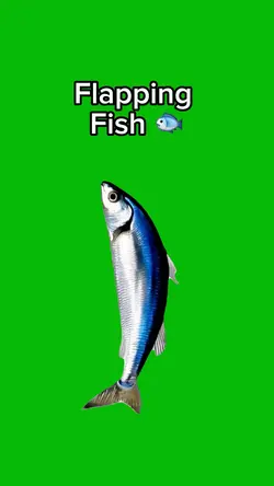 Flapping Fish 🐟 