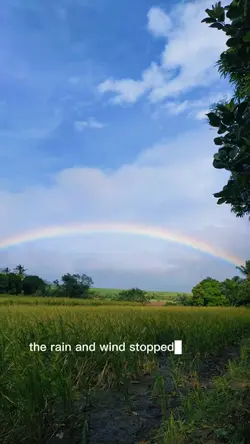 Rainbow Template