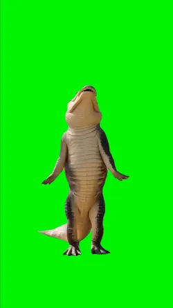 Crocodile Conga